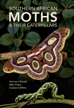 Southern African Moths &amp; their Caterpillars